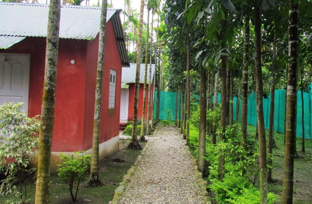 Resort Jayanti Hills Jungle Camp Rajabhat Khawa Exterior photo